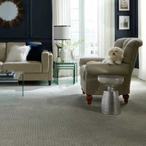 Carpet Inspiration Gallery | Carpetland USA of Virginia