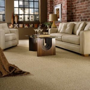Carpet Inspiration Gallery | Carpetland USA of Virginia