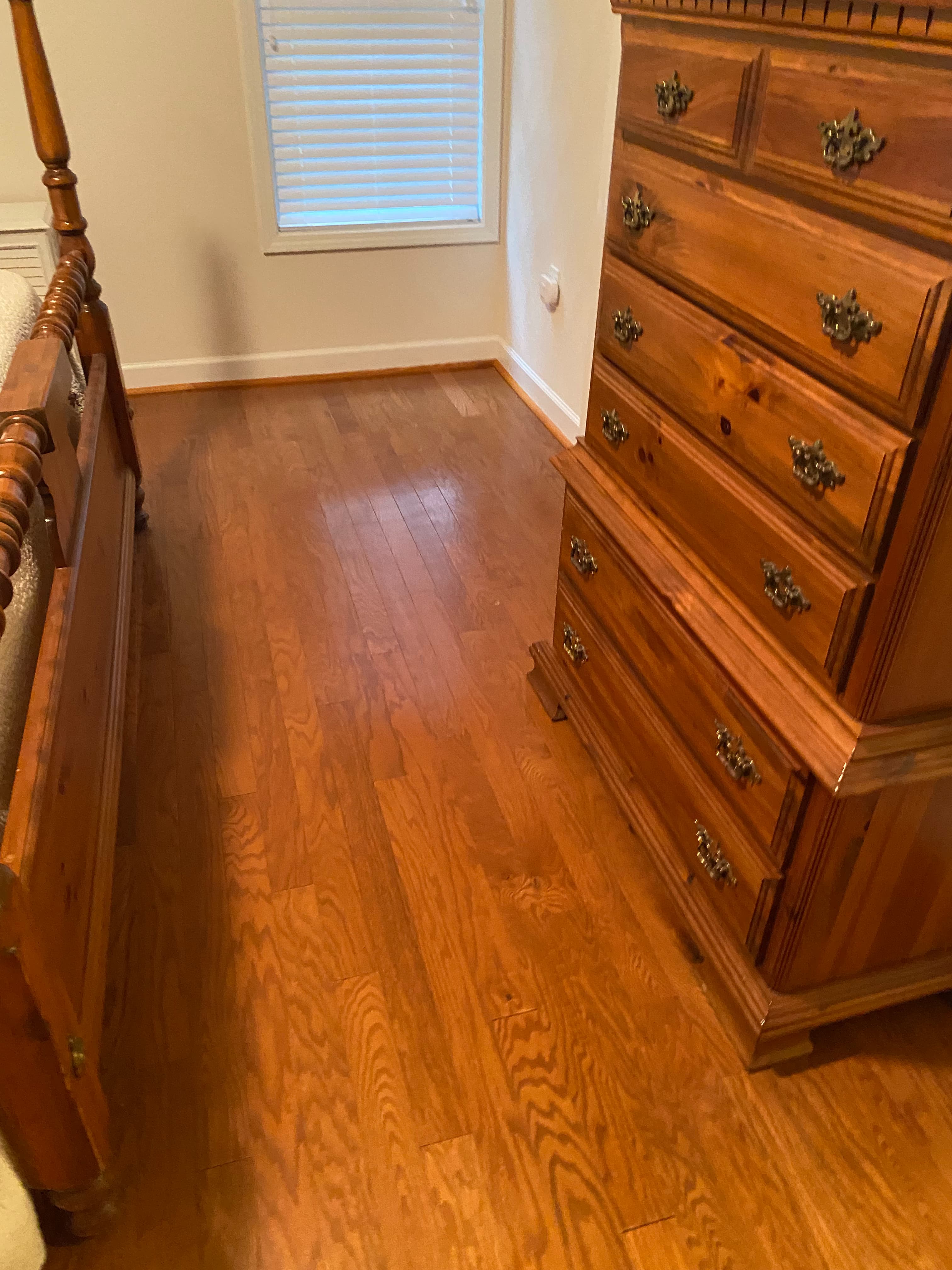 Hardwood flooring | Carpetland USA of Virginia