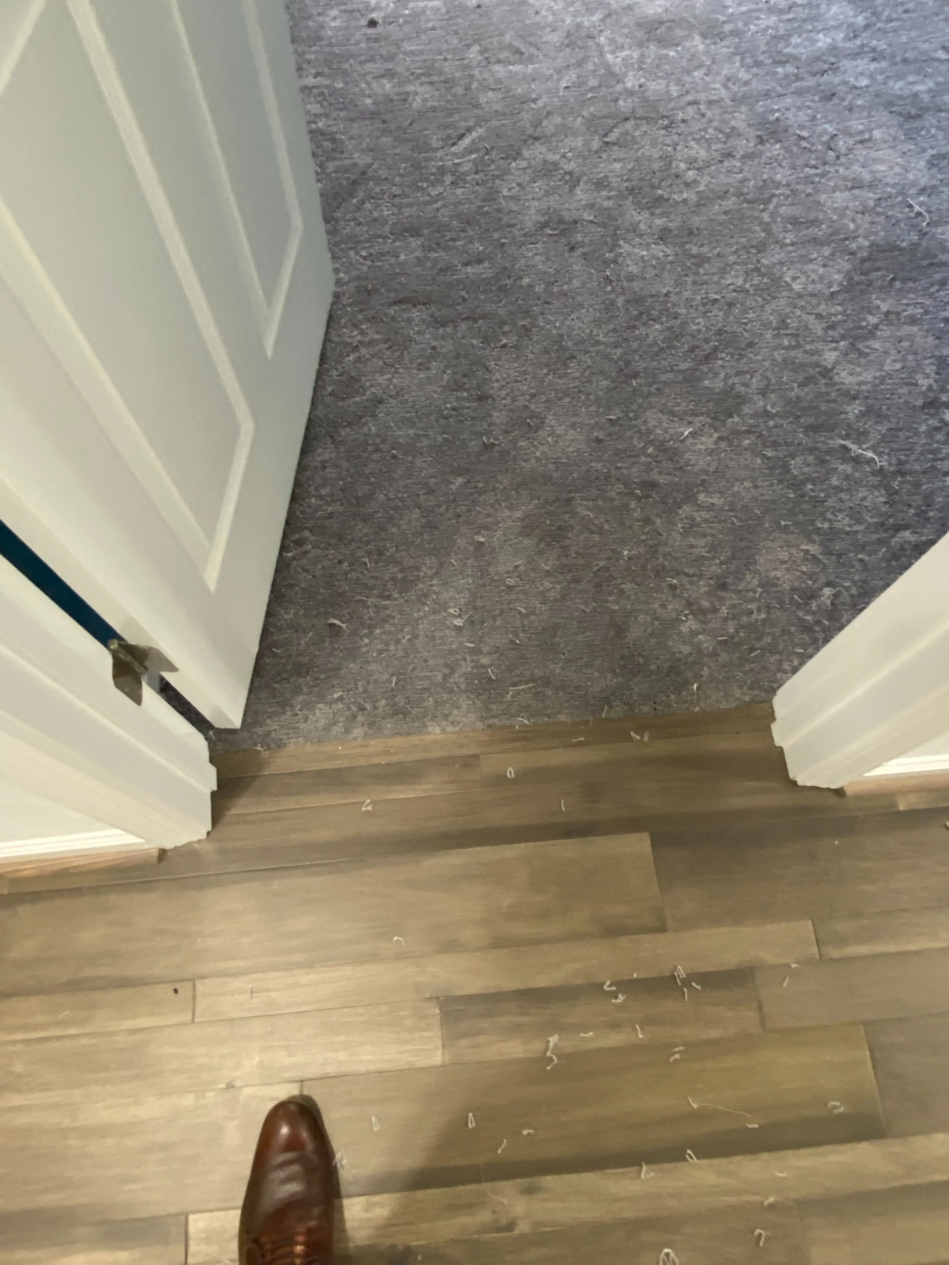 Flooring Flooring | Carpetland USA of Virginia