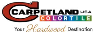 CarpetlandUSA-Hardwood-Destination-Logo-300x119 CarpetlandUSA-Hardwood-Destination | Carpetland USA of Virginia