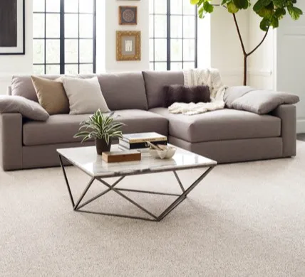 carpet Carpet Flooring | Carpetland USA of Virginia