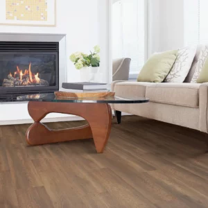 Laminate Flooring | Carpetland USA of Virginia