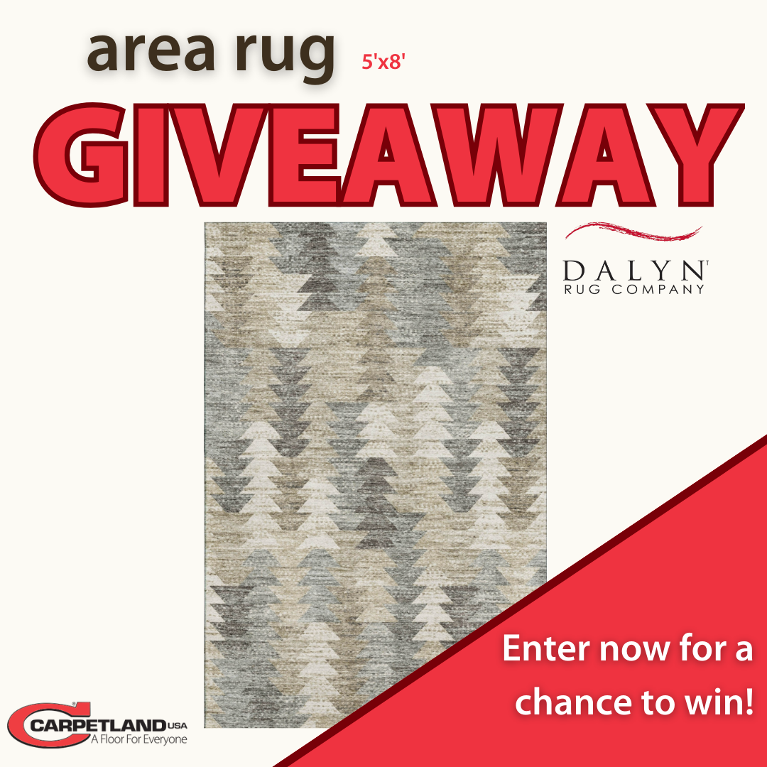 Area Rug 5'x8' Giveaway - Dalyn Rug Company - Enter now for a chance to win!